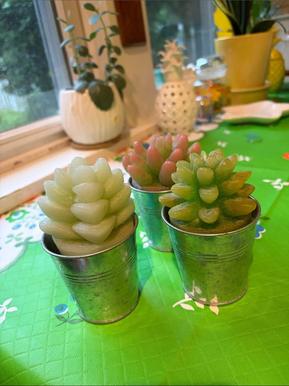 Set of 3 Pottery Barn Succulent Candles